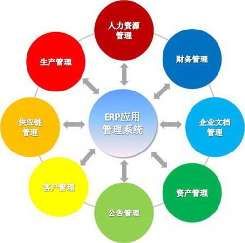 上海企業軟件開發 機遇、挑戰與發展趨勢