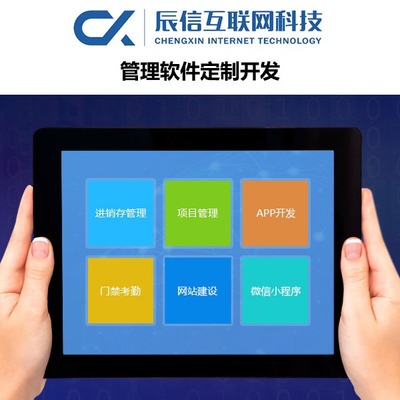 辰信互聯網科技 專業企業軟件開發，驅動數字化未來